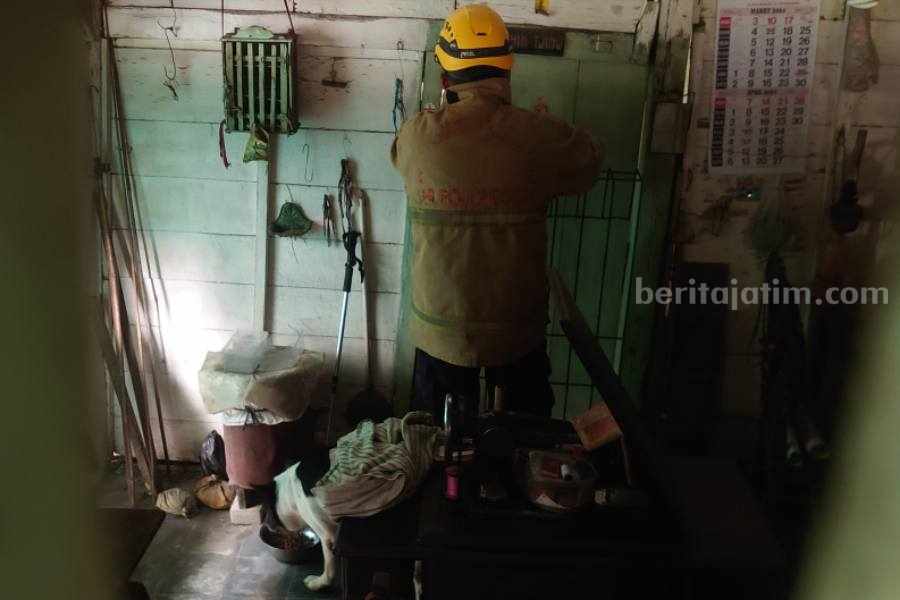 Anjing Jaga Majikan Sudah Meninggal Akhirnya Ditaklukkan Damkar Bojonegoro Foto Berita Jatim