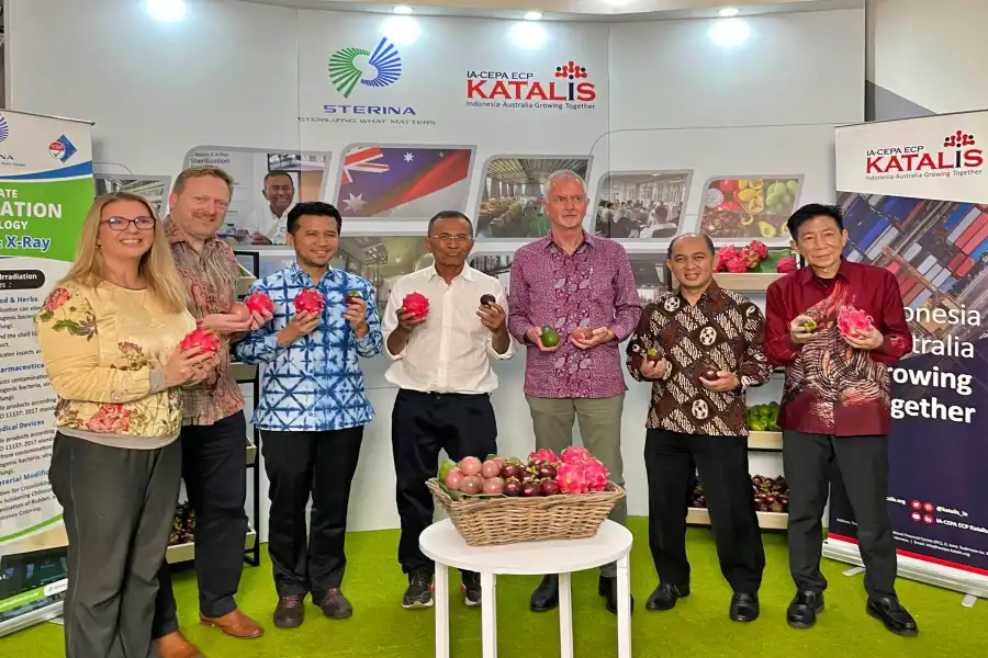 Manggis dan Mangga Surabaya Jawa Timur Segera Mendarat di Australia! Foto Berita Jatim