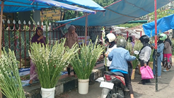 Tradisi Warga Blitar Berburu Bunga Sedap Malam Sebelum Lebaran Foto Berita Jatim
