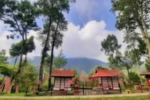 Foto Berita Jatim