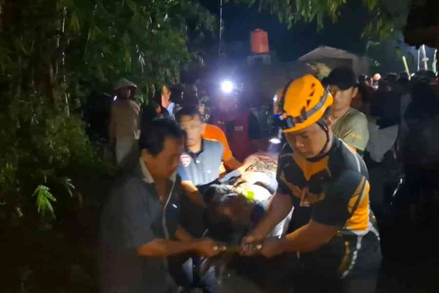 2 Petani Magetan Tertimpa Rumpun Bambu, 1 Meninggal Foto Berita Jatim
