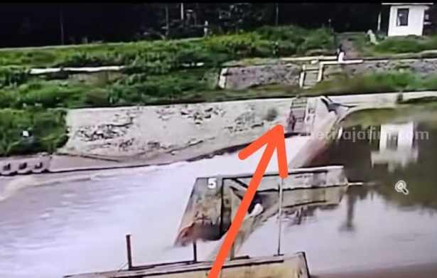 Terekam CCTV, Detik-detik Pria di Jombang Ditelan Arus Sungai Brantas Foto Berita Jatim