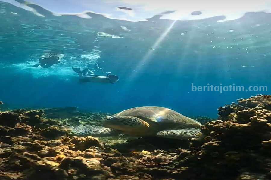 Foto Berita Jatim