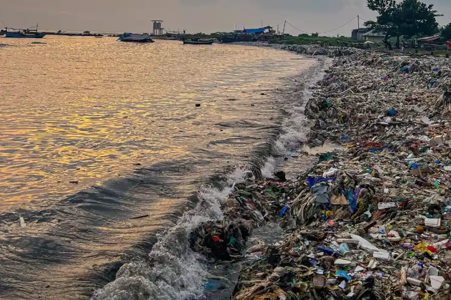 Begini Kabar Terbaru Pantai Terkotor Indonesia yang Pernah Viral Pasca Dibersihkan oleh Pandawara Grup Foto Berita Jatim