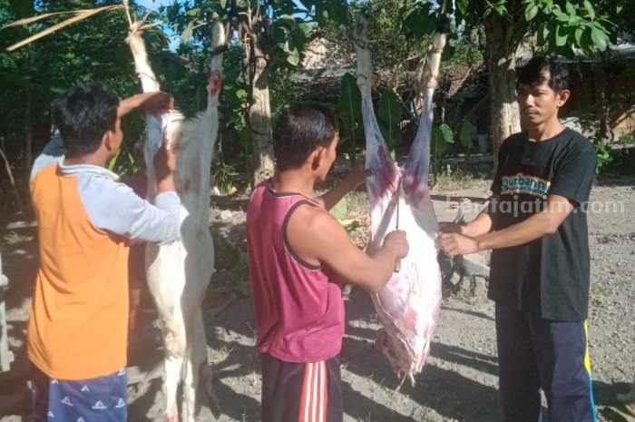 Dusun Krondong di Nganjuk jadi daerah penyaluran hewan kurban dari LMI