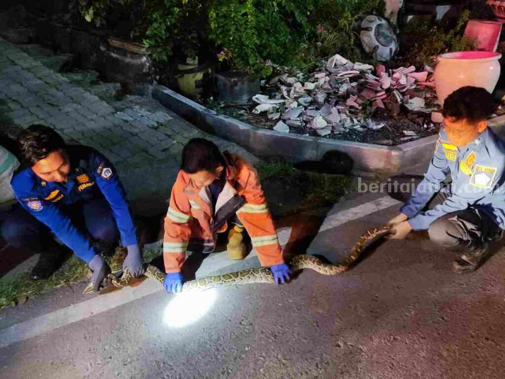 Foto Berita Jatim