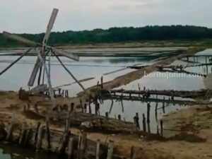 Petani Garam di Sampang Mulai Persiapan Produksi Foto Berita Jatim