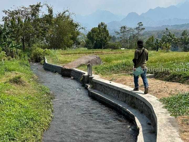 16 Proyek Irigasi Pemkab Mojokerto Rp11 Miliar Masuk Lelang Foto Berita Jatim
