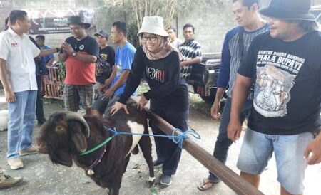 350 Peternak Ikuti Kontes Domba dan Kambing di Kediri, Hadiahnya Fantastis foto beritajatim