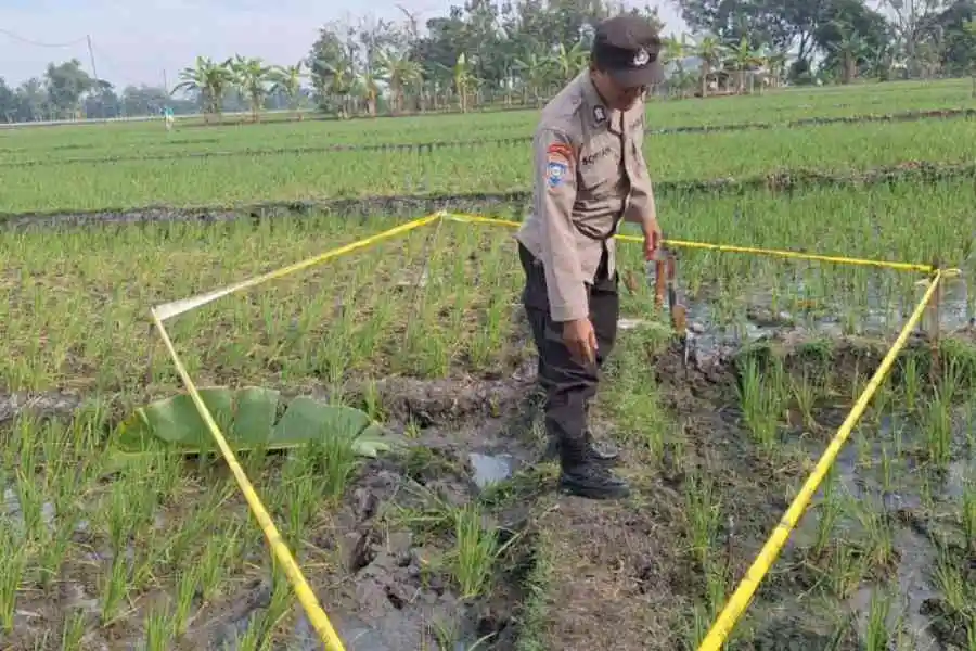 Foto Berita Jatim