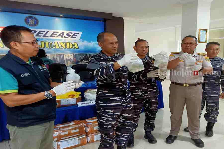 Penyelundupan Terumbu Karang ke Malaysia Berhasil Digagalkan Foto Berita Jatim