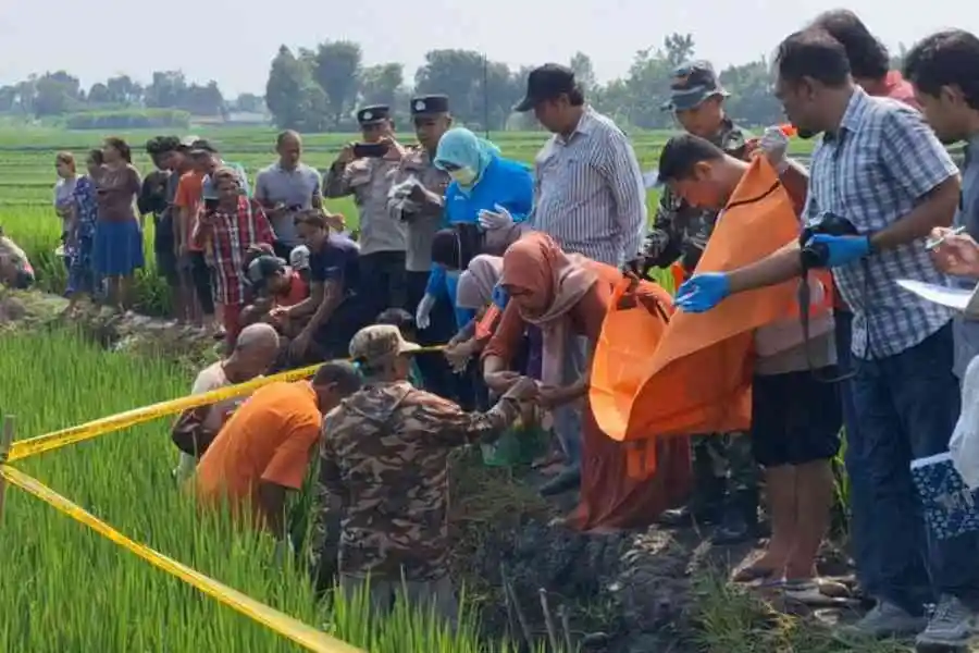 Korban terbaru yang tersengat listrik jebakan tikus di Ngawi.