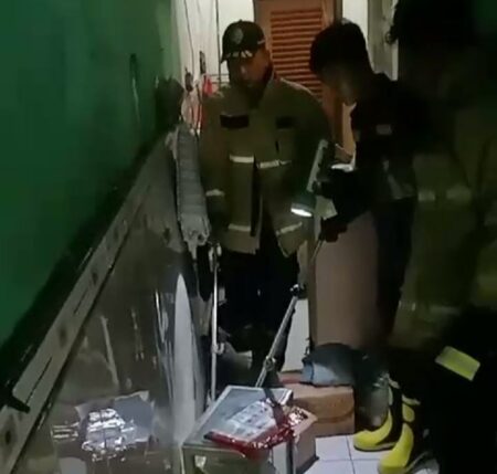 Ular Cobra di Almari Pakaian Warga Morowudi Gresik Bikin Panik Foto dua petugas Damkarla Gresik saat mengevakuasi ular cobra