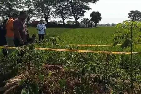 Ini Update Proses Hukum Pemasang Jebakan Tikus Tewaskan Kakek di Madiun