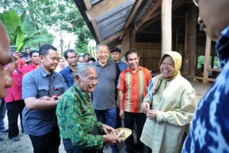 Tri Rismaharini