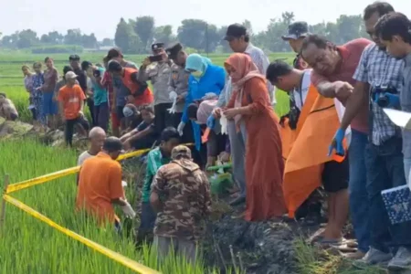 Lagi, Petani Ngawi Tewas Tersengat Jebakan Tikus