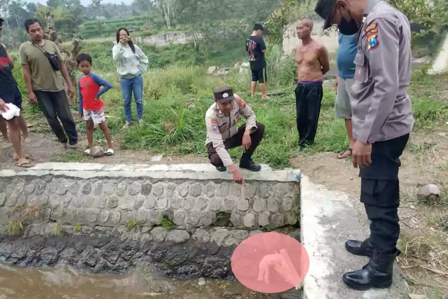 Polsek Wlingi datangi lokasi kejadian penemuan bayi di aliran sungai.
