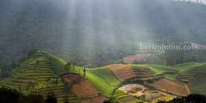 Puncak Brakseng Batu, Wisata Alam Menakjubkan di Kota Batu, Jatim Puncak Brakseng Batu, Wisata Alam Menakjubkan di Kota Batu, Jawa Timur