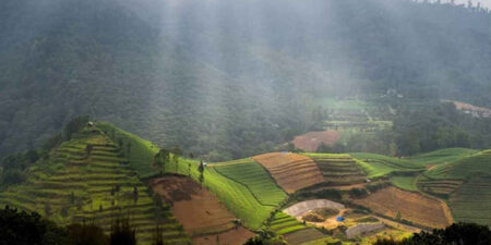 Puncak Brakseng Batu, Wisata Alam Menakjubkan di Kota Batu, Jawa Timur