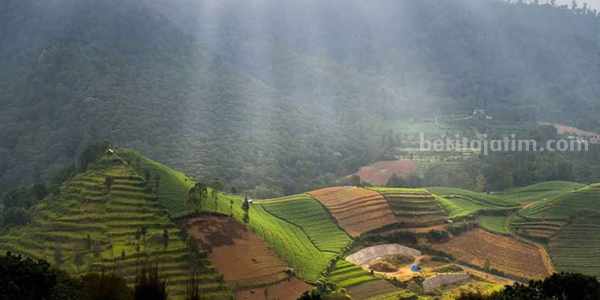Puncak Brakseng Batu, Wisata Alam Menakjubkan di Kota Batu, Jawa Timur