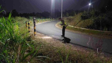 Ibu dan Anak di Kediri Tewas Kecelakaan, Begini Kronologinya