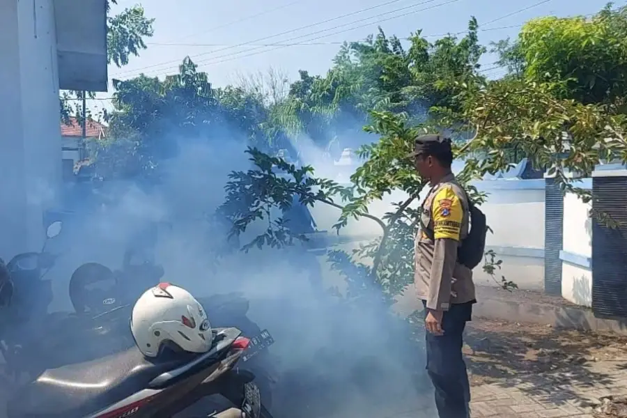 Warga Sampang Resah, Demam Berdarah Dengue Mewabah Foto Berita Jatim