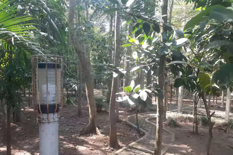 Area dalam Hutan Malabar, Kota Malang.