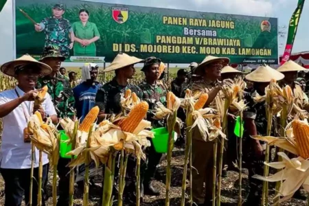 Kunjungan kerja Pangdam V/Brawijaya dalam rangka menguatkan sinergitas di bidang ketahanan pangan, di Kecamatan Modo, Lamongan.