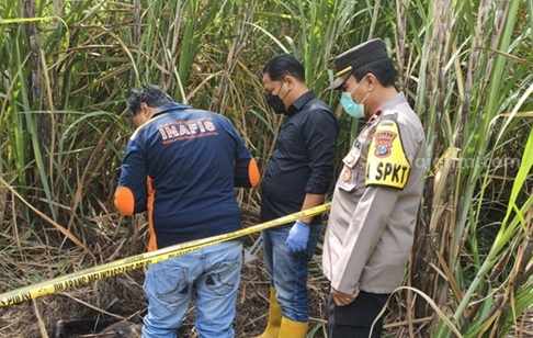 Hilang Sejak Lebaran, Warga Jombang Ditemukan Membusuk di Kebun Tebu Foto Berita Jatim