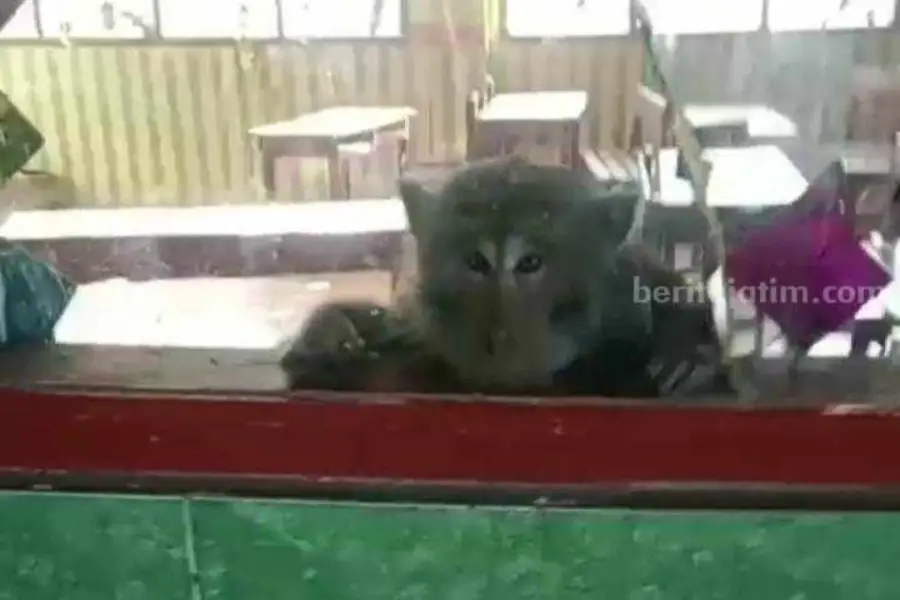 foto beritajatim