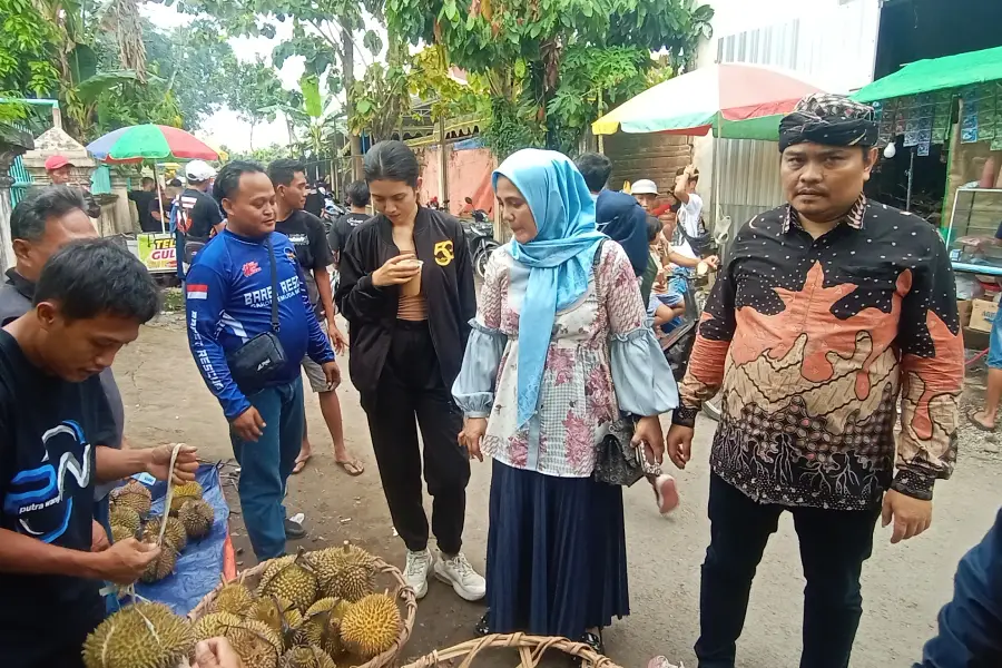 Tanpa Mahar, Nasdem Buka Pendaftaran Calon Bupati Blitar Foto Berita Jatim