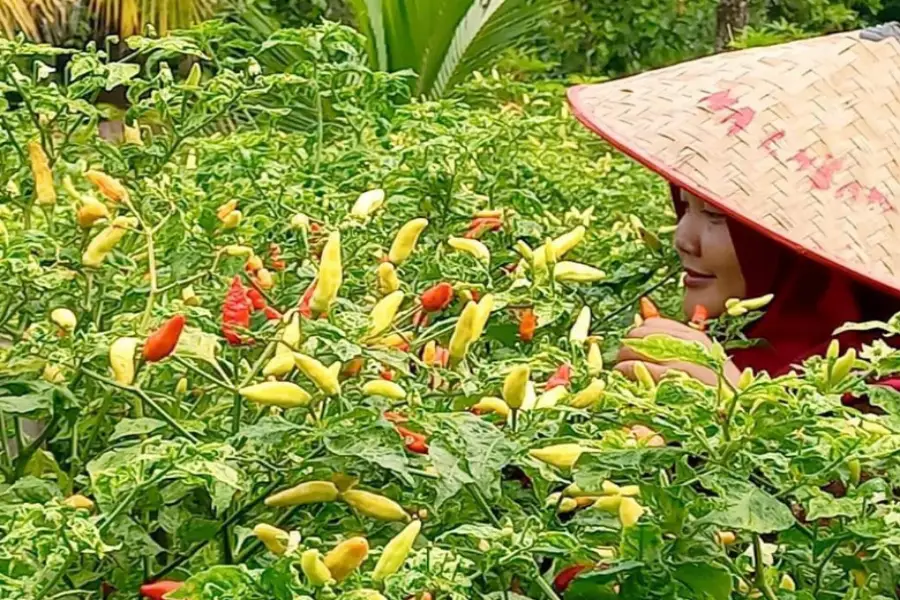 Foto Berita Jatim