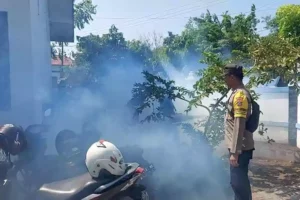 Kasus DBD Sampang Meningkat, Dinkes Tak Tinggal Diam Foto Berita Jatim