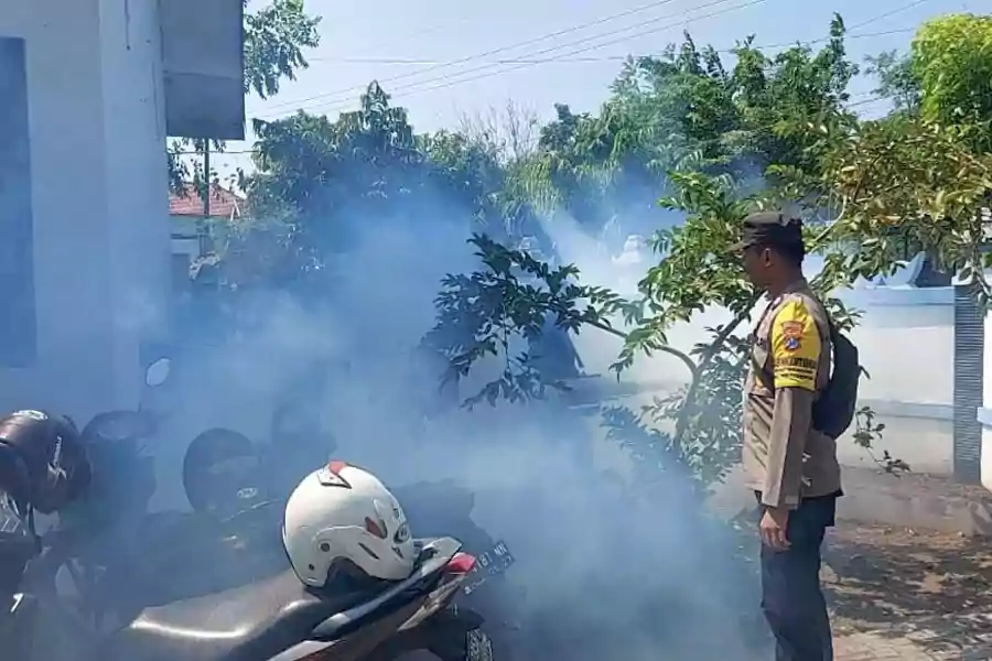 Kasus DBD Sampang Meningkat, Dinkes Tak Tinggal Diam Foto Berita Jatim