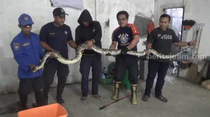 foto beritajatim
