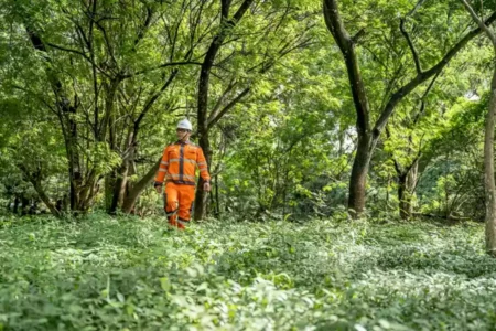 Kawasan Hutan Kota PT Solusi Bangun Indonesia (SBI) Tbk Pabrik Cilacap.