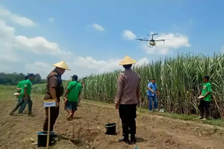 PT SGN Targetkan 1 Juta Ton Gula, Ini Tantangannya Lahan Tebu di Kecamatan Kanigoro Kabupaten Blitar, Sabtu (25/04/25). (Foto: Winanto)