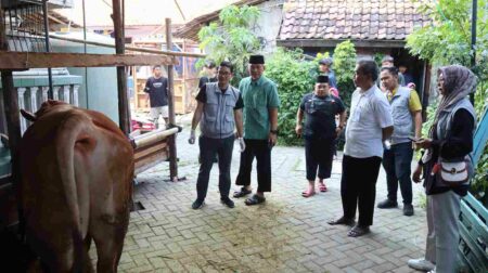 DKPP Pantau Penyembelihan Hewan Kurban di Ponpes Wali Barokah Kediri DKPP Pantau Penyembelihan Hewan Kurban di Ponpes Wali Barokah Kediri