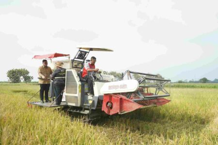 Mas Dhito Dorong Petani Kediri Miliki Multi Skill, Terutama dari Milenial