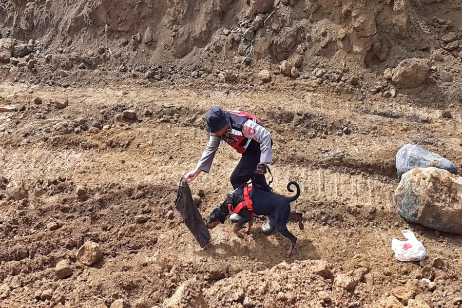 Anjing Pelacak