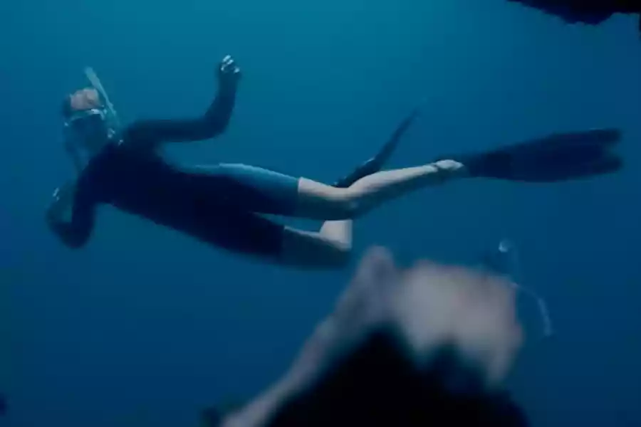 Salah satu adegan trailer Blueback. [YouTube/ Roadshow Films]