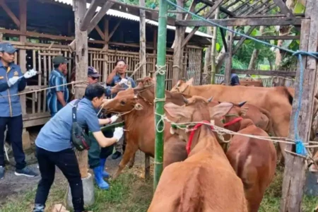 Dinas Peternakan Bangkalan