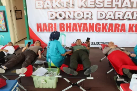 Donor Darah