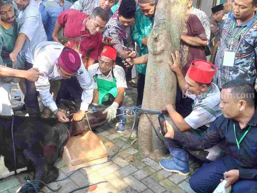 foto beritajatim