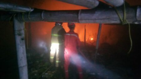 Kandang di Gresik Terbakar, 10 Ekor Kambing Kurban Mati Terpanggang foto berita