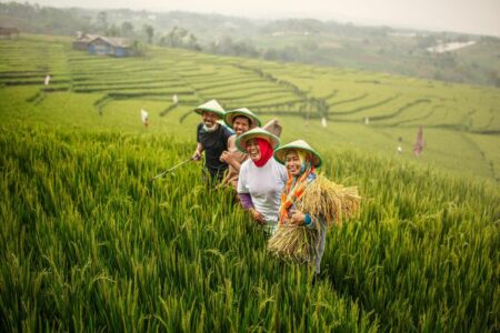 Tahun 2050 Krisis Pangan, Bupati Hendy Minta Petani Jember Pertahankan Lahan foto beritajatim