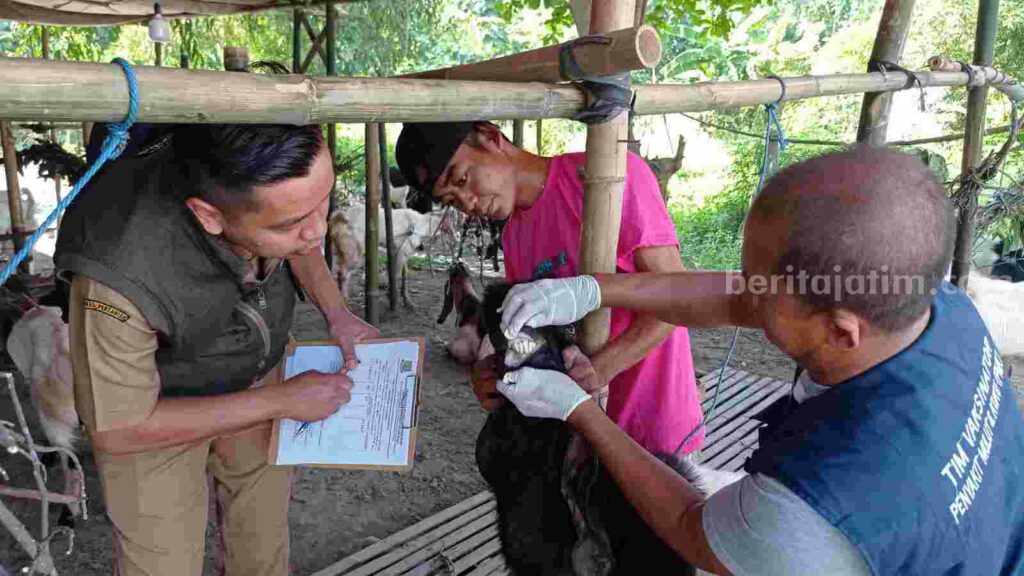 Petugas dari DKPP Kota Mojokerto melakukan monitoring ke sejumlah lapak pinggir jalan. [Foto: ist]