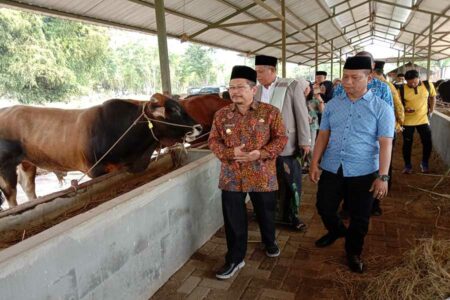 Antisipasi Penyakit Hewan Kurban, Pj Bupati Pasuruan Lakukan Sidak ke Peternakan