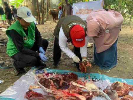 Sapi Suspek PMK di Blitar Hampir Dijadikan Hewan Kurban