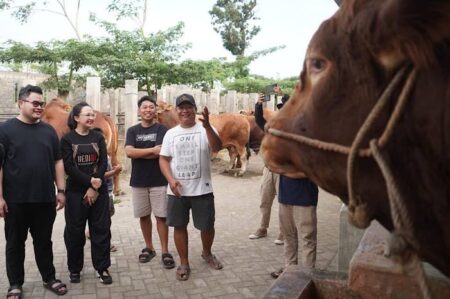 Bupati Kediri Bareng Mbak Cicha Beli Empat Ekor Sapi Jumbo untuk Kurban